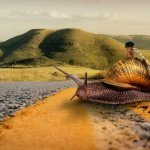 SA-Crypto-Snail-Trading-Patience