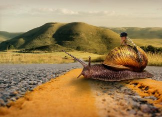 As A Trader, It Pays To Be Patient