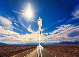 A Summary of the Bitcoin Cash Hard Fork (Nov 2018)