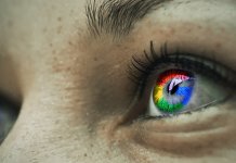 Crypto Ranks Top In Google Searches, Despite Bear Market