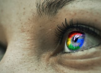 Crypto Ranks Top In Google Searches, Despite Bear Market