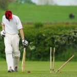 cricket-724616_1920