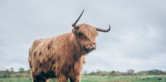 Crypto Enters a New Phase of Fragile Confidence