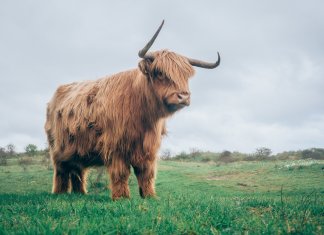 Bitcoin Price Analysis: Short-Term Bullish Signs