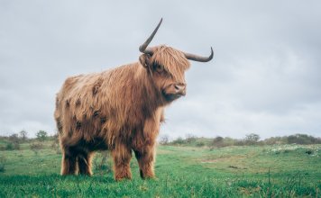 Crypto Enters a New Phase of Fragile Confidence