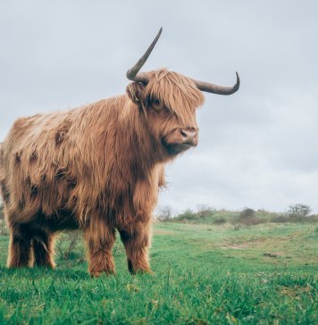 Crypto Enters a New Phase of Fragile Confidence