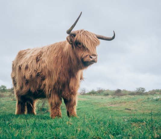 Crypto Enters a New Phase of Fragile Confidence