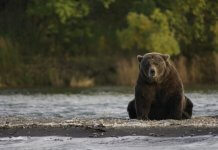 Analyst: 3 Reasons Bitcoin Looks Bearish Right Now