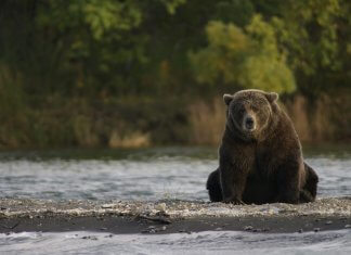 Analyst: 3 Reasons Bitcoin Looks Bearish Right Now