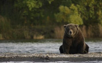 Analyst: 3 Reasons Bitcoin Looks Bearish Right Now
