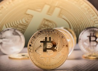 Entrepreneurship Culture Instrumental To Economic Growth In Africa