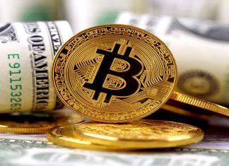 MicroStrategy’s Crypto Holdings Boast Huge Profits