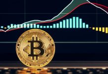 BlackRock Seeks Bitcoin Exposure