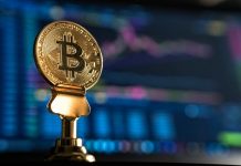 Motley Fool Announces $5m Bitcoin Investment
