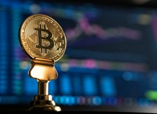 Motley Fool Announces $5m Bitcoin Investment