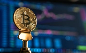 Motley Fool Announces $5m Bitcoin Investment