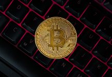 Institutions Hold 3% Of BTC Supply As New ATH Is Set