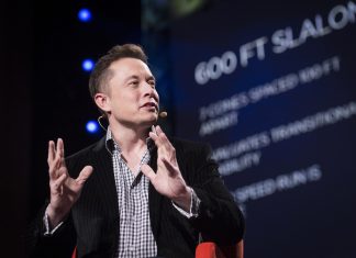 Elon Musk and Brian Armstrong Urge Relaxed Crypto Regulation