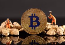 Fidelity Director Compares Bitcoin To Gold