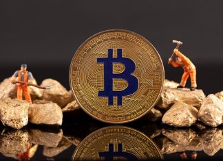 Fidelity Director Compares Bitcoin To Gold