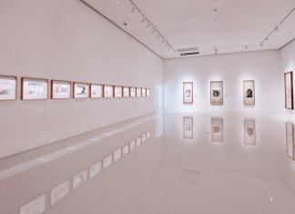 SA Gallery’s First NFT Auction Now Live