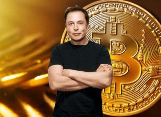 Musk: Tesla Will Accept BTC In The Future