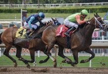 Zeitgeist Launch Prediction Market For Kusama’s First Parachains