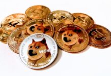 Ukraine Accept Crypto Donations In Dogecoin