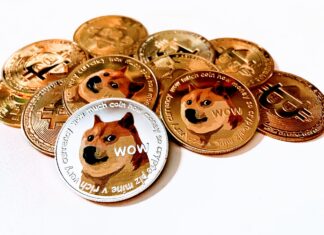 Ukraine Accept Crypto Donations In Dogecoin