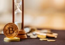 The Crypto Craze: Why the House Is Betting Big on Bitcoin for Online Gambling