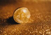 The Safest Bet: Comparing Bitcoin and Gold as Stores of Value