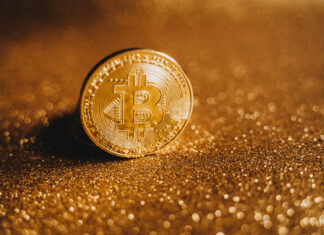 The Safest Bet: Comparing Bitcoin and Gold as Stores of Value