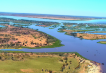 Analyzing the Impact of Cryptocurrency Adoption in Africa on Everyday Citizens Cryptocurrency Adoption in Africa