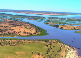 Analyzing the Impact of Cryptocurrency Adoption in Africa on Everyday Citizens Cryptocurrency Adoption in Africa