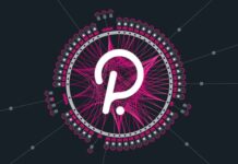 Polkadot’s Bold Rebrand to “Kolkadot”: Revolutionizing Crypto One Joke at a Time