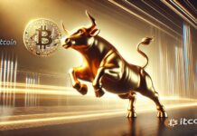 Bitcoin Breaks $91k As Crypto Market Soars, Setting Stage For The Next Bull Run
