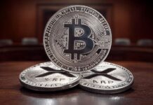 Bitcoin’s Wild Ride: Is the King of Crypto Bracing for Another Brutal Crash?