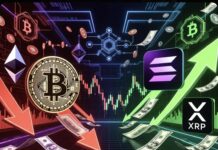 Bitcoin and Ethereum ETFs Record $103 Million Outflows as Solana and XRP Attract Fresh Capital