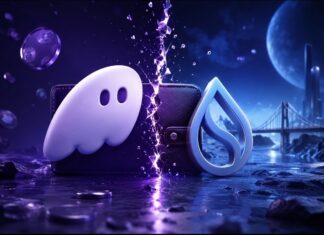 Phantom Ends Sui Support on September 24